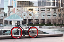 Charger l'image dans la galerie, Echo - mageplaza1