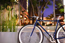 Charger l'image dans la galerie, November - mageplaza1