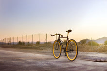 Charger l'image dans la galerie, India - mageplaza1